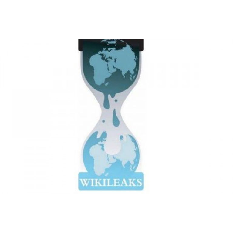WikiLeaks, un llamado de atencin para la seguridad informtica