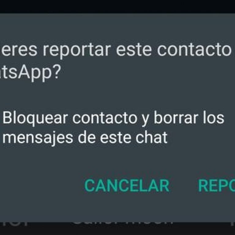 WhatsApp: Cmo y por qu reportar un usuario en la plataforma