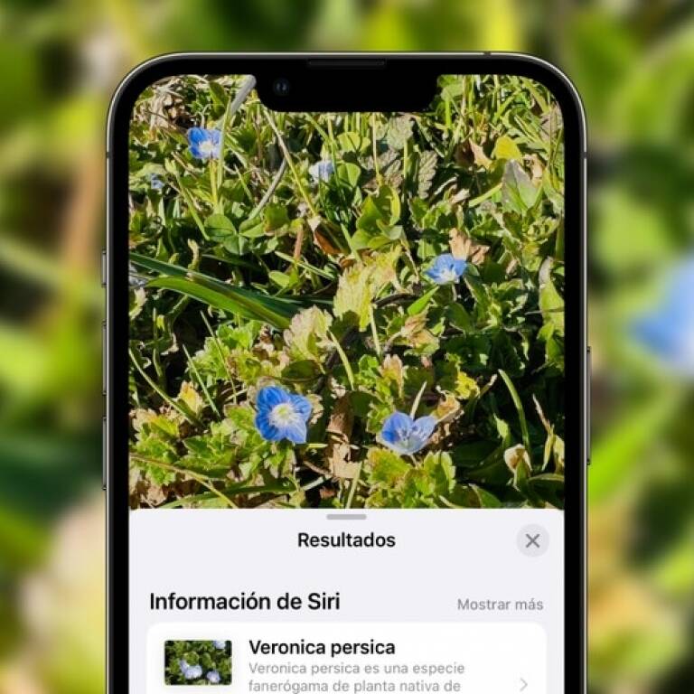 Siri se convierte en tu guía de identificación: Descubre cómo reconocer plantas, animales y lugares usando fotos