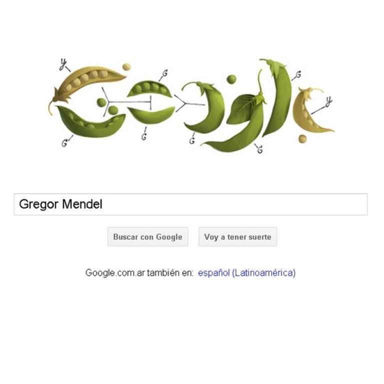 Google rinde homenaje al "Padre de la Genética" con el Doodle de hoy