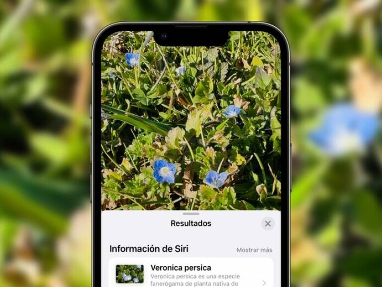 Siri se convierte en tu gua de identificacin: Descubre cmo reconocer plantas, animales y lugares usando fotos